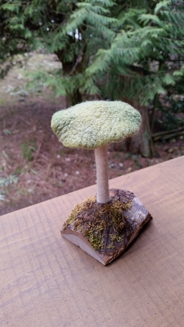 Forest Mushroom