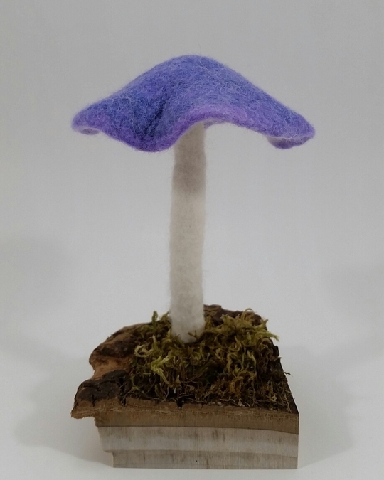 Hand felted mushroom